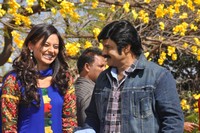 Balakrishna New Movie Launch